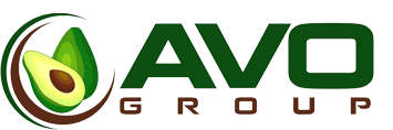 Avo Group