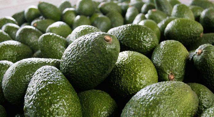 Pile of avocados