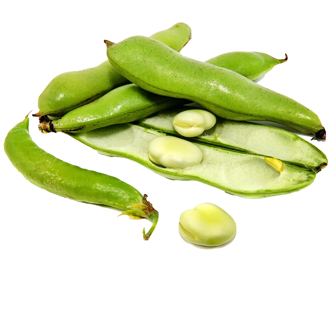 Pile of green beans with an open bean pod